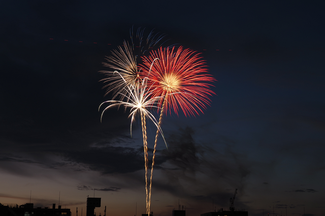 隅田川花火大会鑑賞会を開催しました！! - 画像3